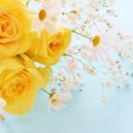 アイデア商品のALMEGA